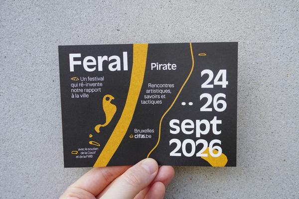 Cover Pirate FR.JPG